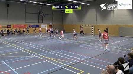 B&B Healthcare/WHC-Hercules - Sporting Pelt